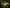 MW2 - Gold Camo