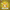 PW - Gold Coin
