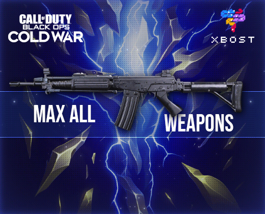 CW - Max All Weapons