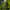 MW3 - Monster Energy