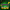 MW3 - Screaming Skulls Calling Card