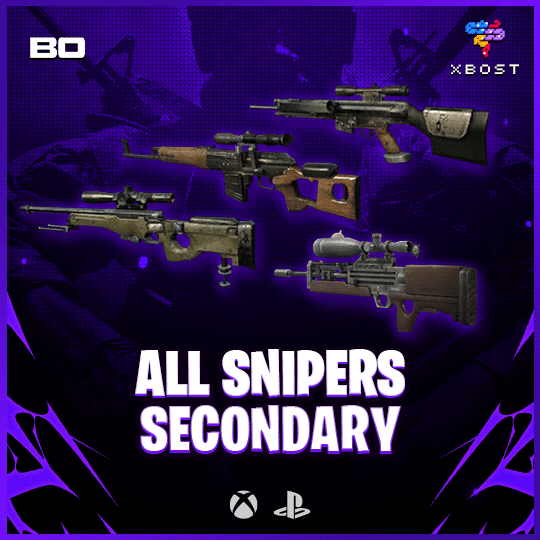 BO1 - All Snipers Secondary