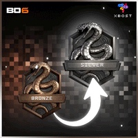 BO6 - Rank Boosting