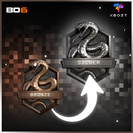 BO6 - رفع الرتبة