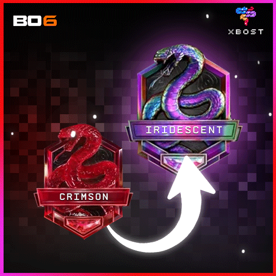 BO6 - رفع الرتبة