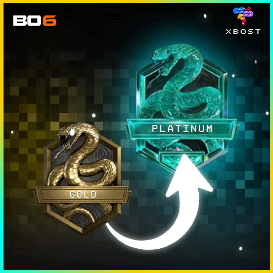 BO6 - رفع الرتبة