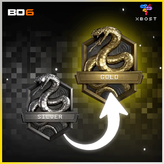 BO6 - رفع الرتبة