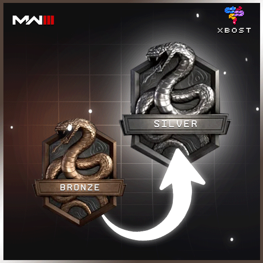 MW3 - رفع الرتبة