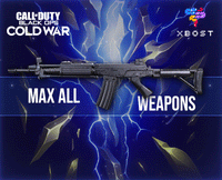 CW - Max All Weapons