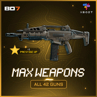 BO7 - Max Weapons