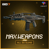 BO7 - Max Weapons