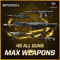 BF6 - Max Weapons