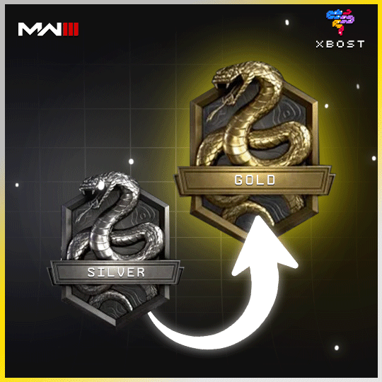 MW3 - رفع الرتبة