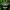 BO2 - Master Rank Icon